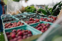 June Saturday Morning Market